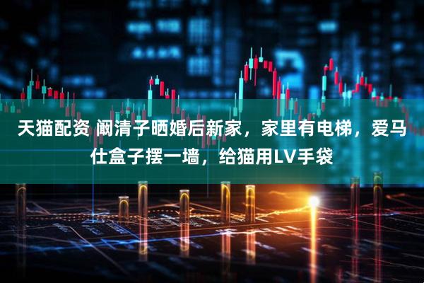 天猫配资 阚清子晒婚后新家，家里有电梯，爱马仕盒子摆一墙，给猫用LV手袋