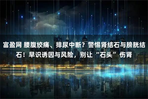 富盈网 腰腹绞痛、排尿中断？警惕肾结石与膀胱结石！早识诱因与风险，别让 “石头” 伤肾