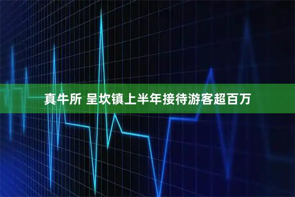 真牛所 呈坎镇上半年接待游客超百万