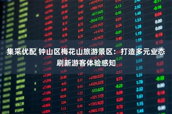 集采优配 钟山区梅花山旅游景区：打造多元业态刷新游客体验感知